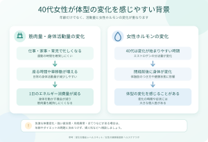 40代女性の筋肉量・身体活動量と女性ホルモンの変化が体型に影響する流れを示した図解